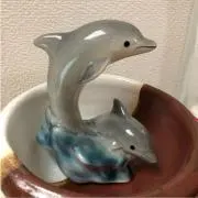 Marukoの画像