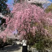 アラサーさくら☆断捨離中⭐︎の画像