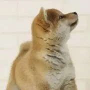 さっちん