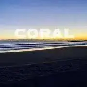 CORAL【丁寧梱包】の画像