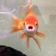 ゆうの画像
