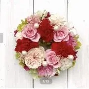 あいるるの画像