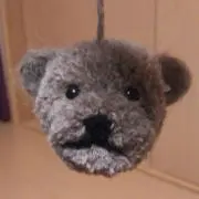 koyuの画像