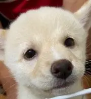 zeekの画像