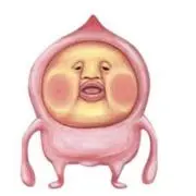 カクレモモジリの画像