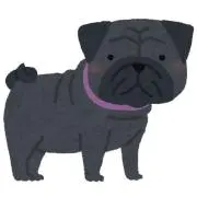 てるこの画像