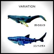 サメとクジラの画像