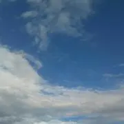 ふわねずみ❁⃘*.゜自己紹介文必読の画像