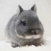 森野そら