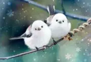 ハム吉の画像