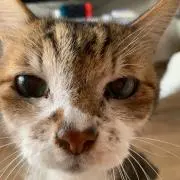 ラーラブ