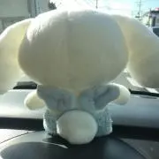 ロール☆の画像
