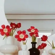 naの画像