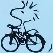 Sakuの画像