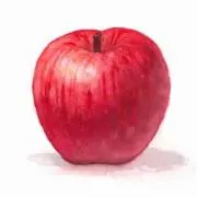 matsuの画像