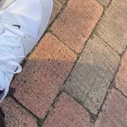 やほう