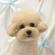 Seika♡