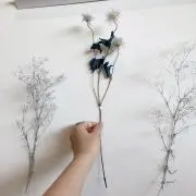 まな！！！の画像