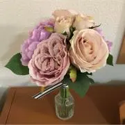 ララの画像