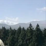 ゆかわの画像
