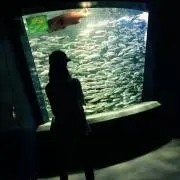 なー