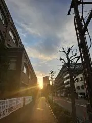 まるもり