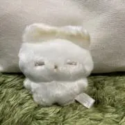 みーの画像