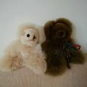 ゆみっこの画像