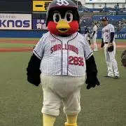 まー坊の画像