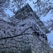 ひろ