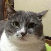 さおりちゃん