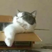 いの