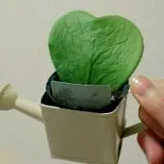 ぺた。の画像