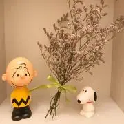 pockyの画像