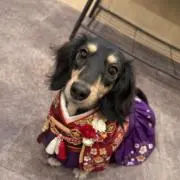 (プロフ、説明文お読みになってください)の画像