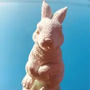 ダルマの画像