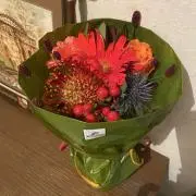しましまの画像