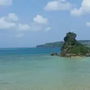 にのの