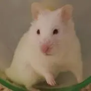 ☆プロフ必読☆ゆか☆の画像