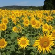 ☆nahan☆