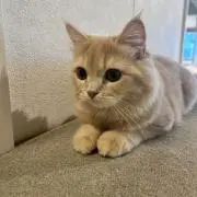 94の画像