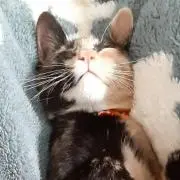 ひろあんパン