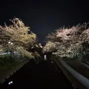 コンコン！