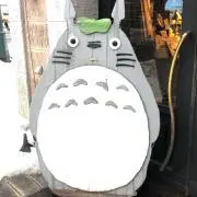 totoro