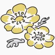 ゆかり*即購入歓迎です！の画像