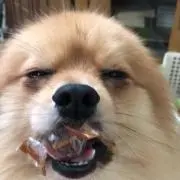 オヤジ