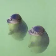 うらん★断捨離中の画像
