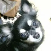 ☆ryu☆
