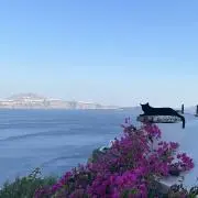 みるの画像