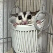 ＊ゆか＊
